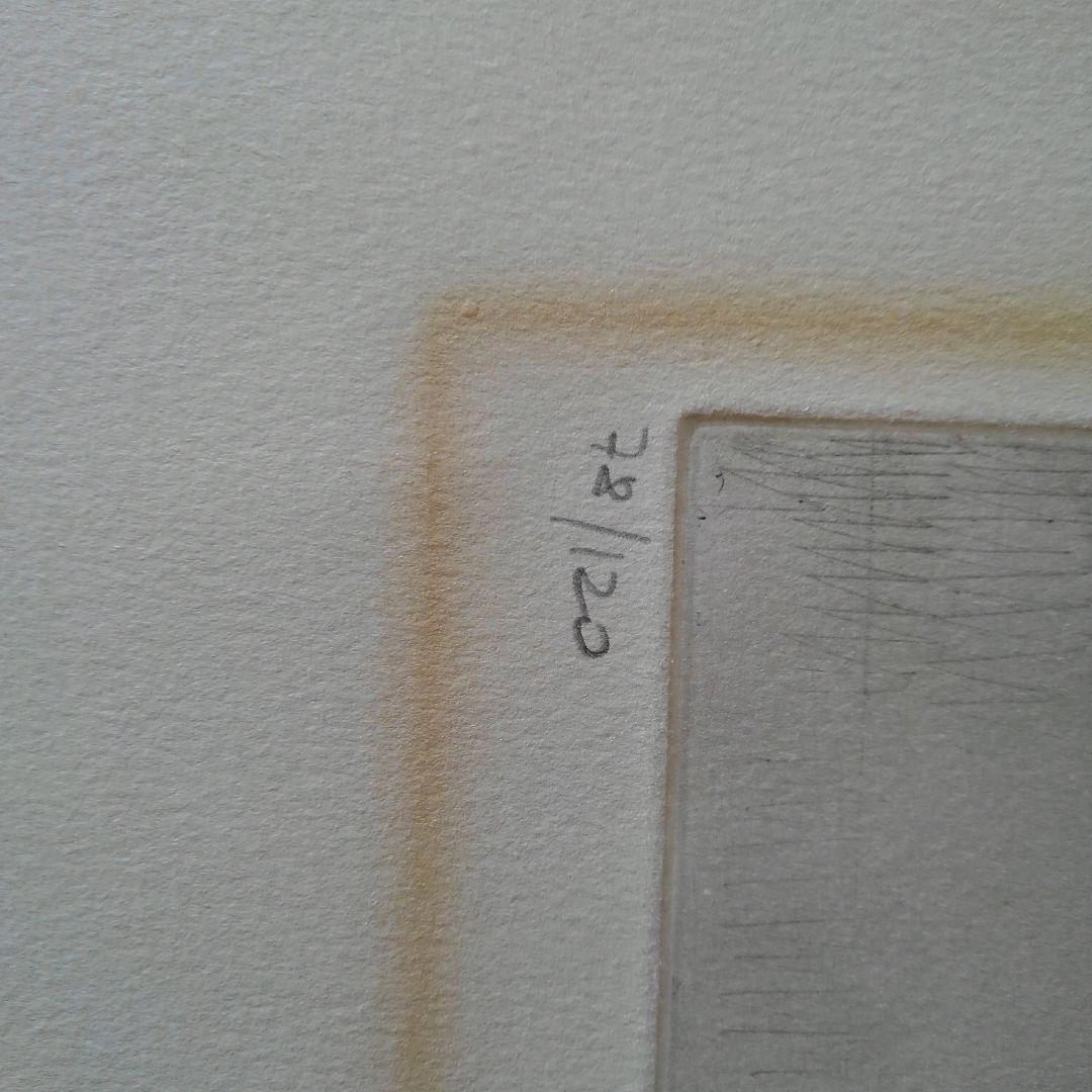 新春セールアナピア　アントニーニ　リト