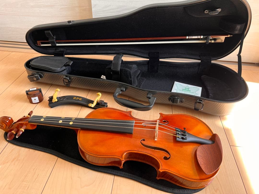 Pyroviolin 4/4バイオリン本体Gewaケース付き