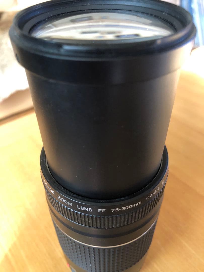 レンズ(ズーム) Canon EF 75-300mm f/4-5.6 III USM