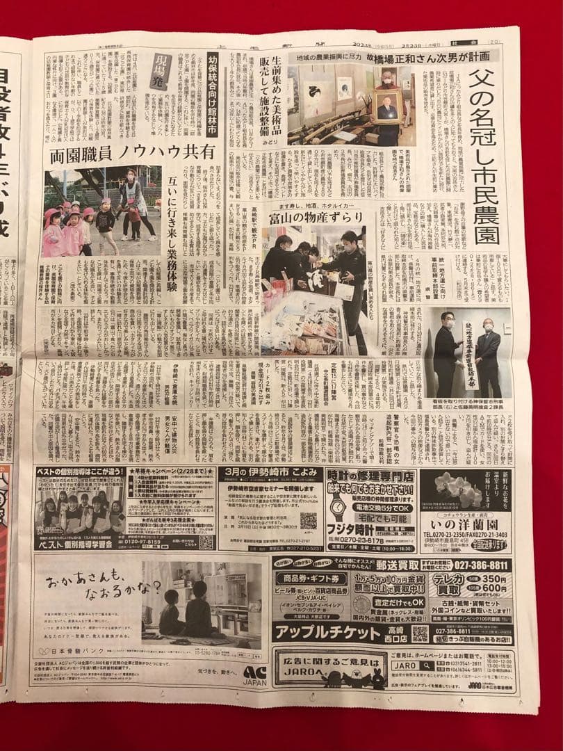 こころの風景コレクション【立川広己 心の山（黎明富士）】60％お