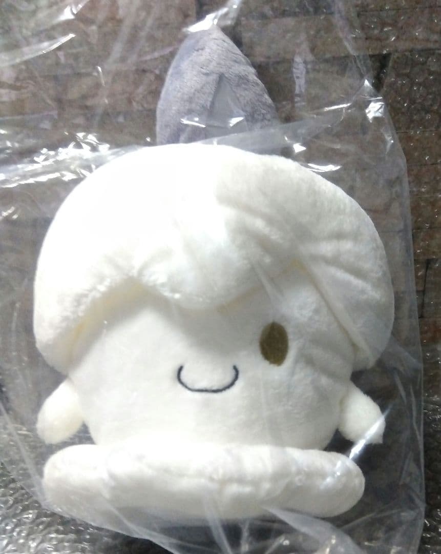 ポケモンぬいぐるみヒトモシタグつき202307092002