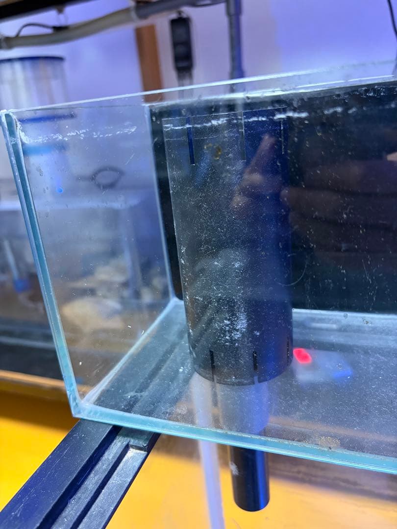 直接引き取り6045ガラス水槽 リフジウム水槽 その他おまけ付き - メルカリ