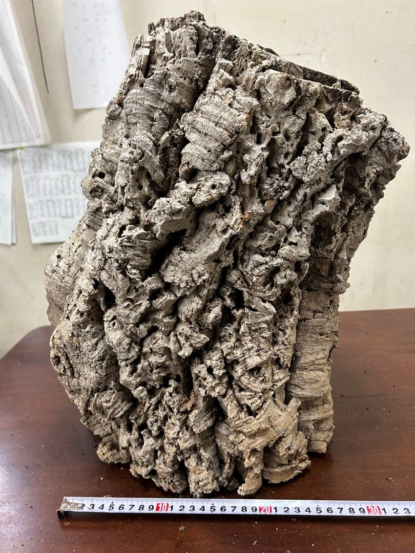 ポルトガル産コルク樹皮PL-1029-L12 - メルカリ