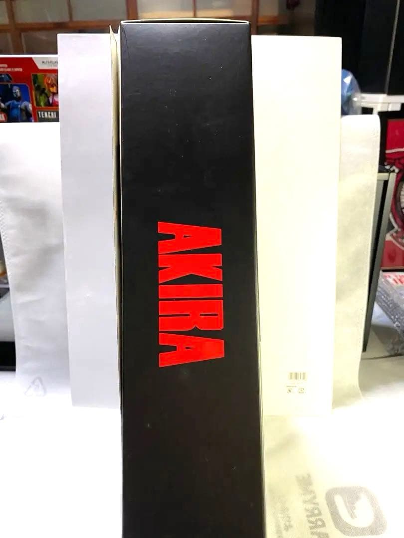 アキラ AKIRA 島鉄雄 1/6スケール PROJECT BM