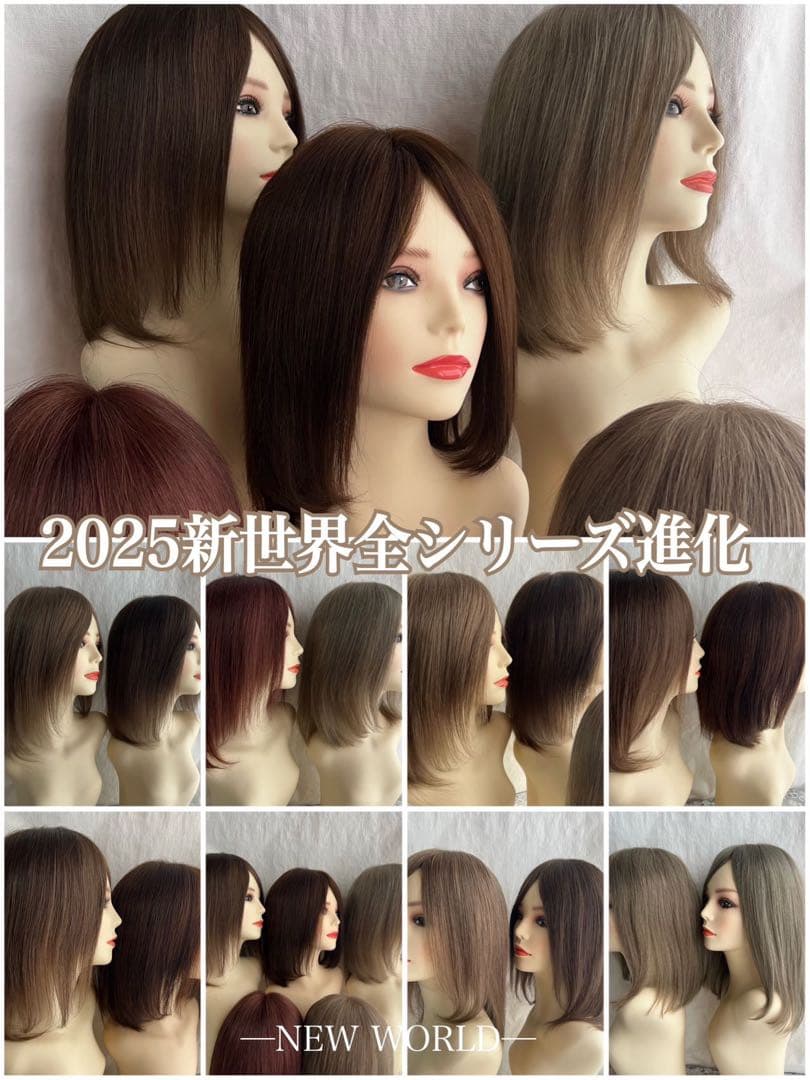 2025新世界　人毛　フルウィッグ　ウィッグ　シルクスキン　医療ウィッグ　レミー