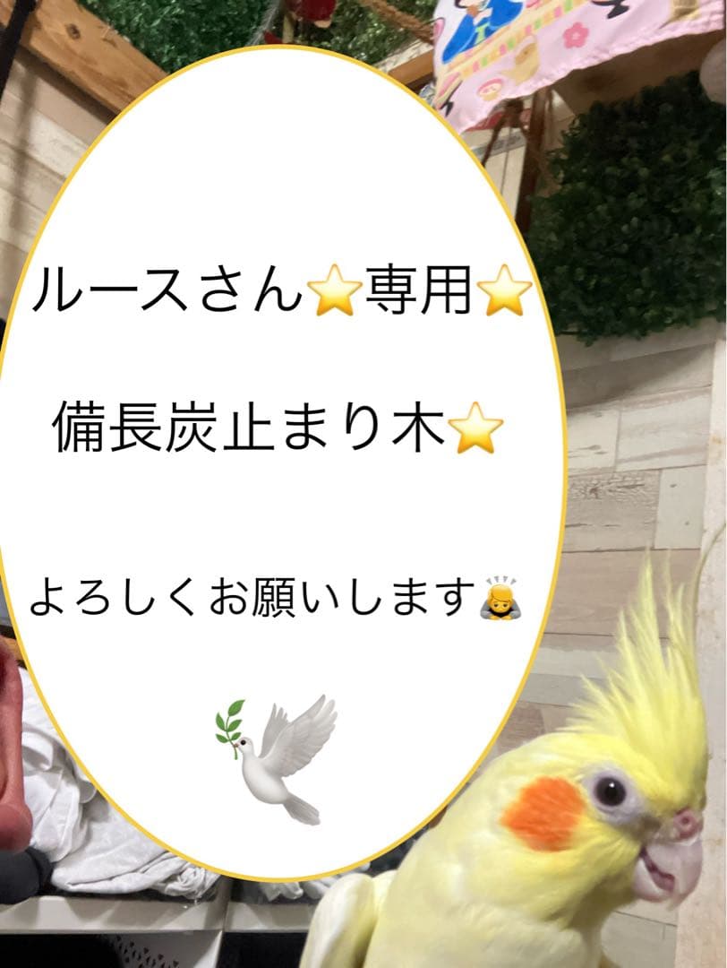 備長炭止まり木⭐️止まり木⭐️パーチ⭐️専用です♪(=´∀｀)人(´∀｀=)⭐️ 備長炭止まり木⭐️パーチ⭐️止まり木⭐️専用です♪(๑>◡<๑)