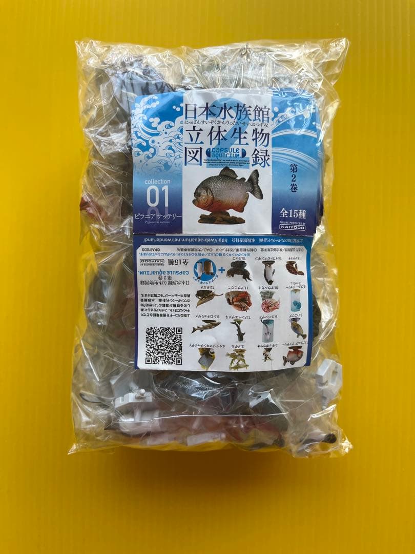 秋の収穫祭】日本水族館立体生物図録 第2巻〈全15種〉フル