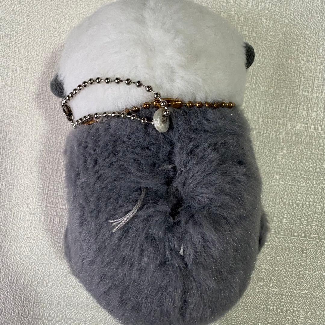 藤原丈一郎 まとめ売り