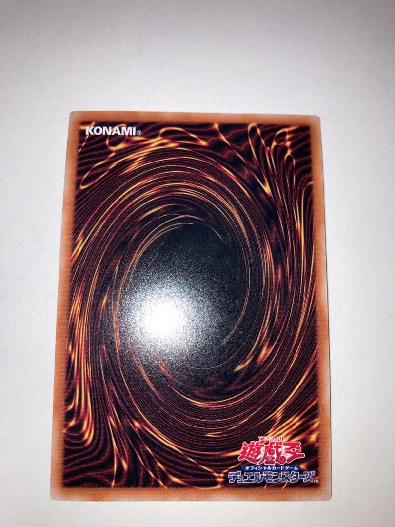 ハーピィの羽根帚 絵違い　25th