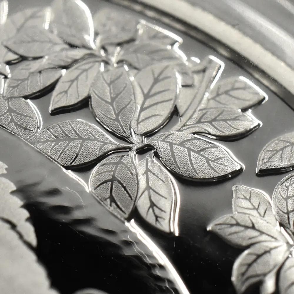 2024 (新品未使用) 中国 パンダ銀貨 30g10元 (カプセル入) 152