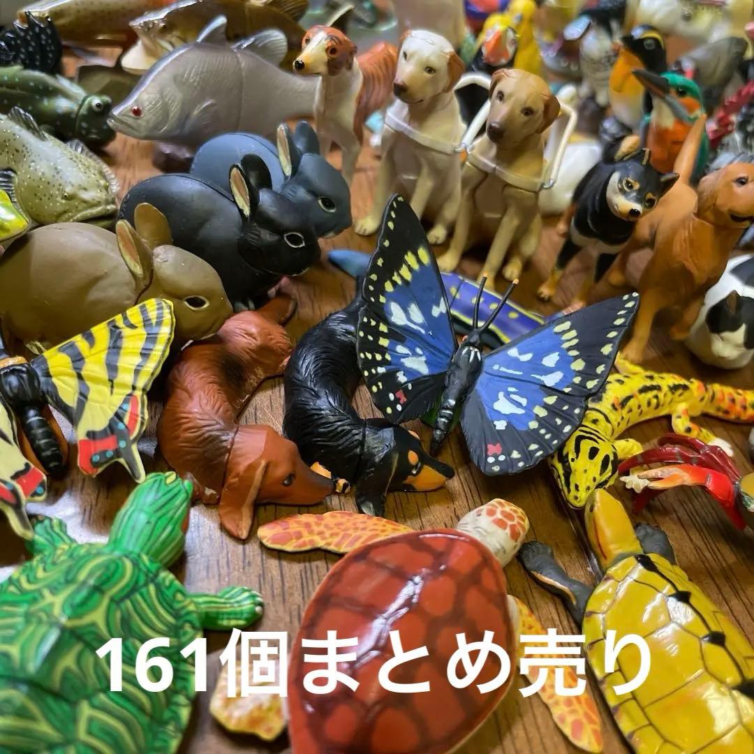 チョコエッグ／日本の動物 第3弾 5点 チョコエッグ／日本の動物 第3弾