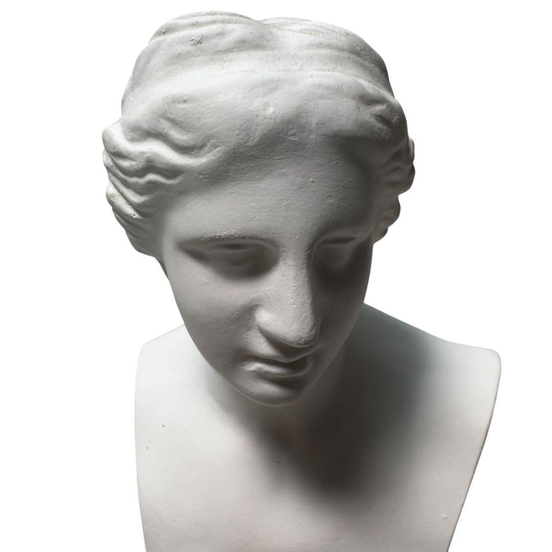 ミロのヴィーナス 石膏像 デッサン アート 芸術 美術 - メルカリ