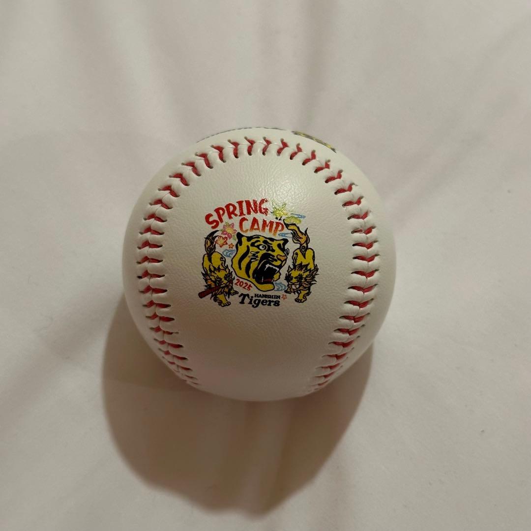 阪神タイガース 髙橋遥人 直筆サインボール キャンプ 沖縄 ロゴボール 髙橋遥人