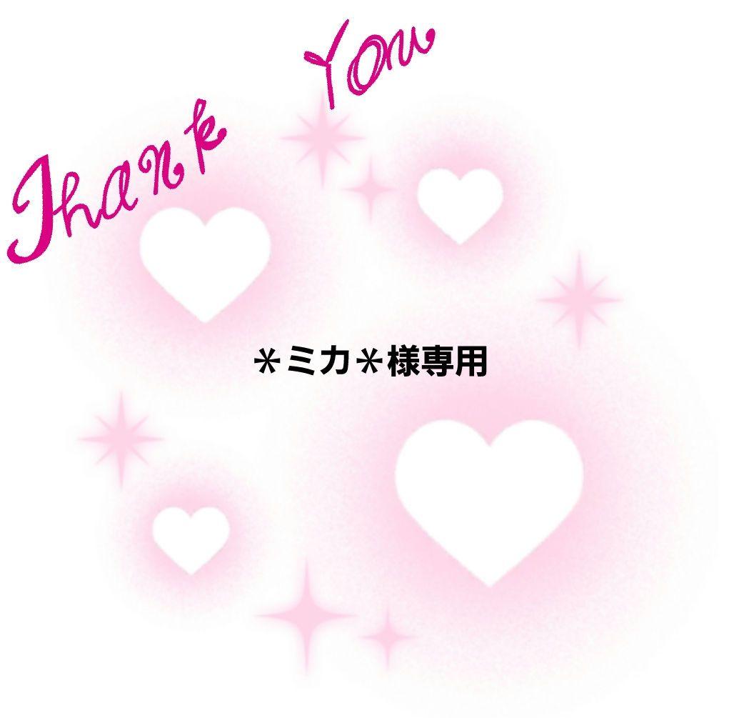 ペット用品 ＊ミカ＊様専用 カフェマット ハンドメイド ペット用品