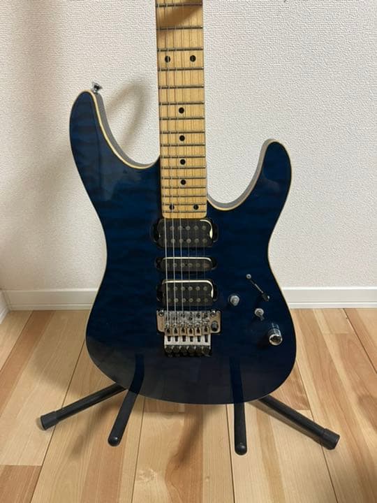 専用]シェクター エレキギター ※ジャンク エレキギター LEGPAP