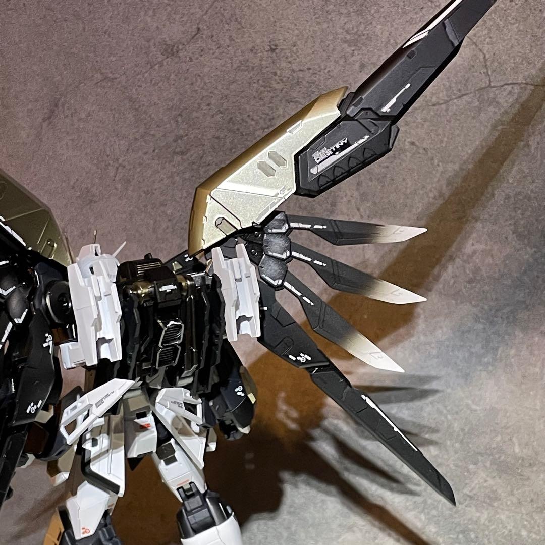 確認用 RG ディスティニーインパルスガンダム