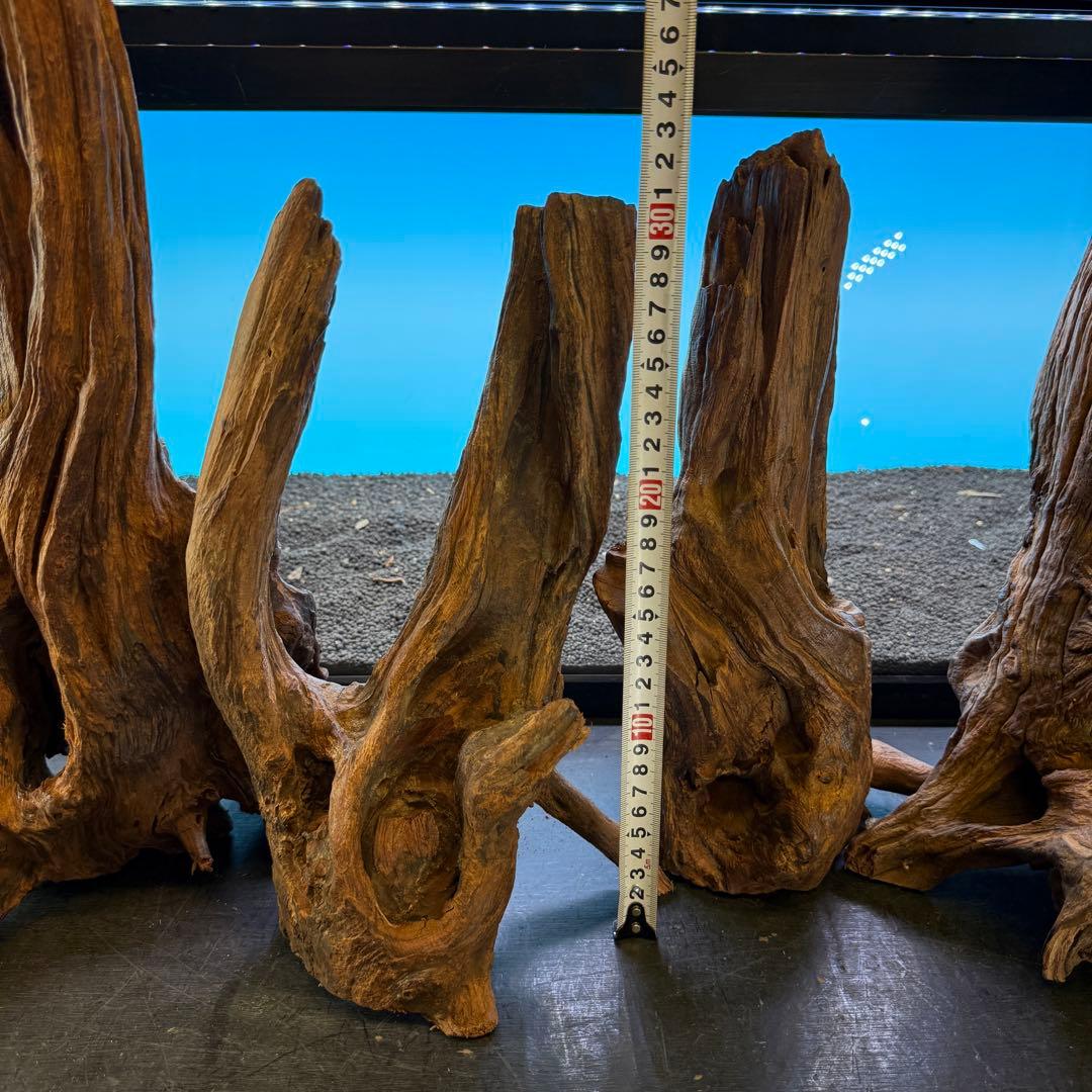 MRW-6798 赤系流木4本セット 90cm水槽用 切株 一点物 アクアリウム