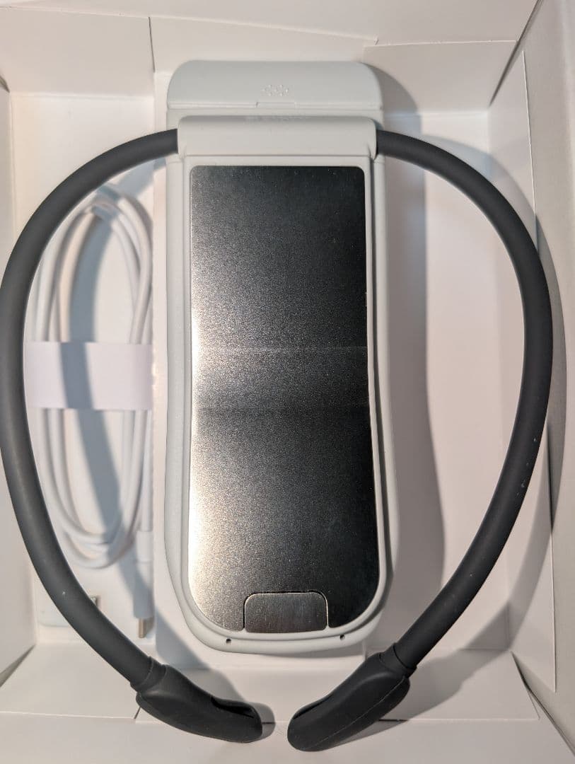 SONY REON POCKET PRO　レオンポケット　プロ