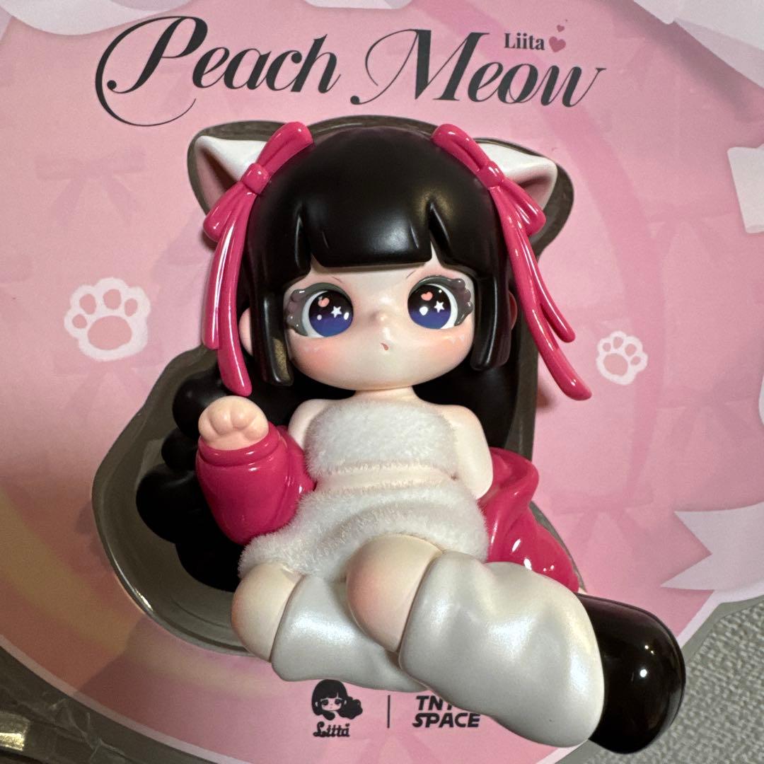 TNTSPACE Liita リイタ 透明パッケージ 吊卡 レア - メルカリ