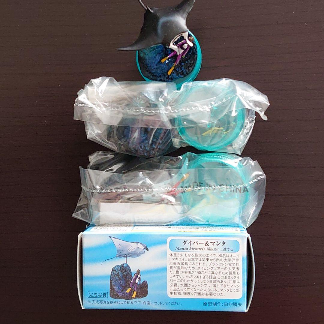 海洋堂 アクアテイルズ 黒潮の魚たち glico