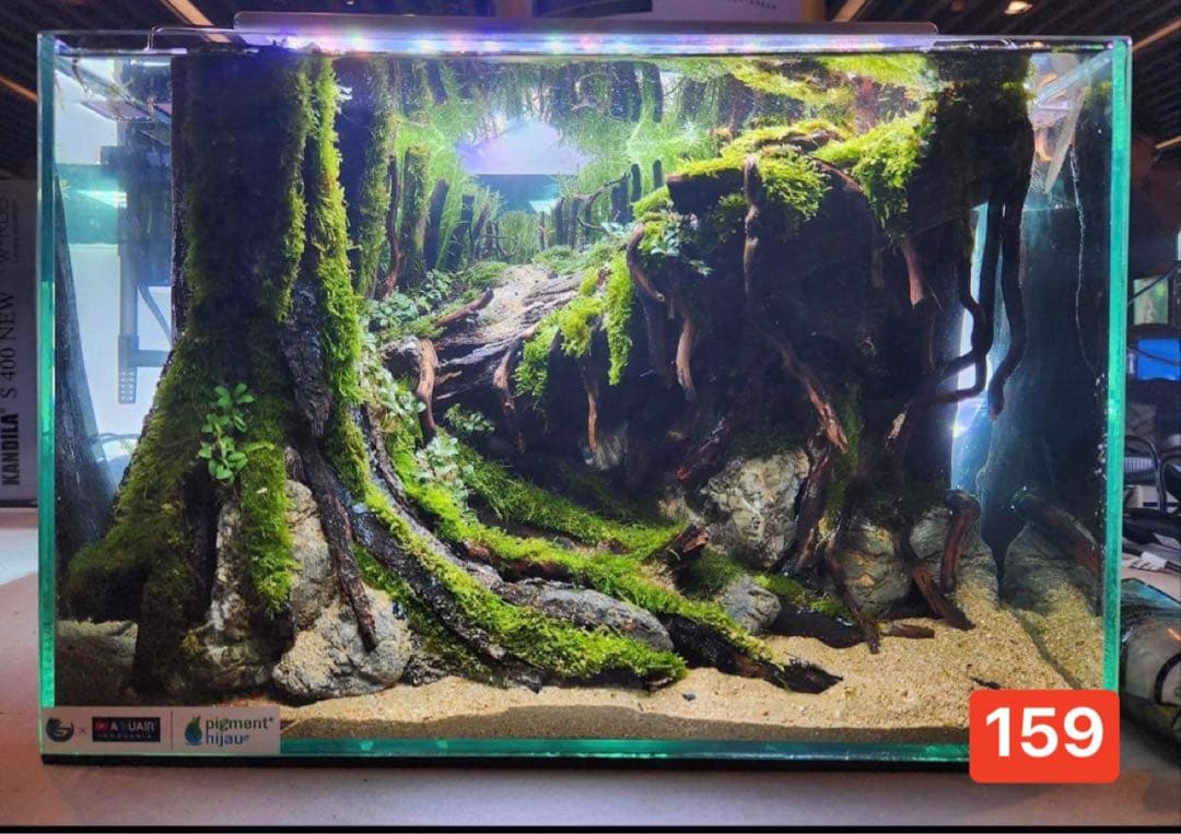 水槽用流木 流木 ブランチウッド 。アクアリウム パルダリウム