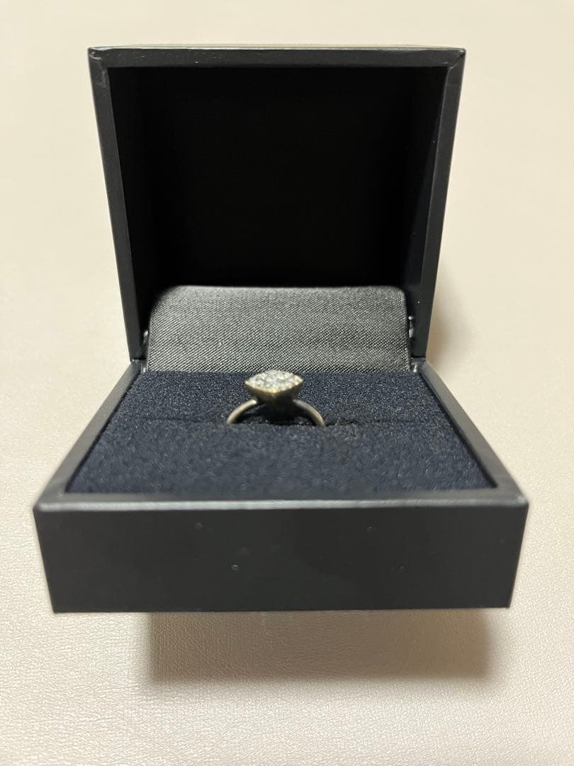 hum 半人前　パヴェリング　9号