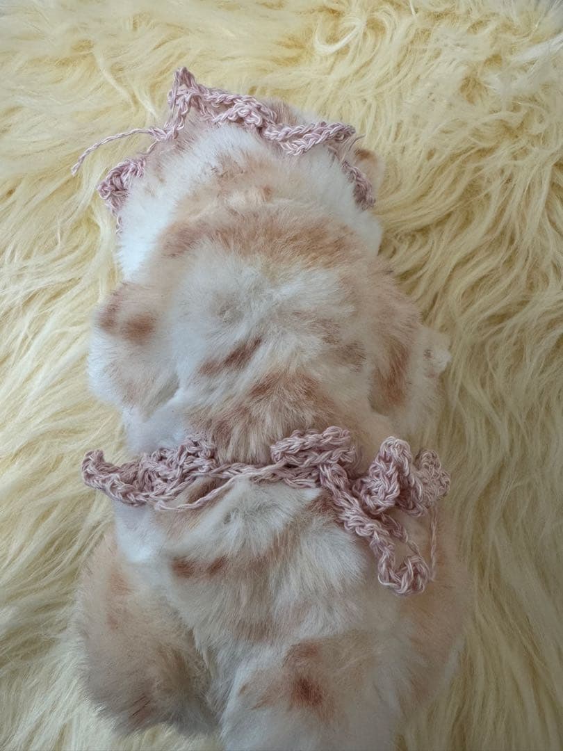 海外作家様作 猫の赤ちゃん アートドール