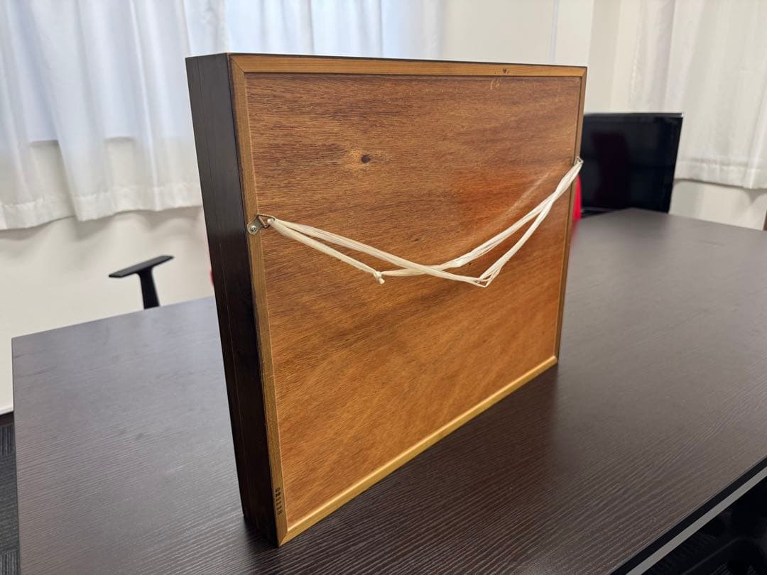 モルフォ蝶 オオルリアゲハ他11匹 標本