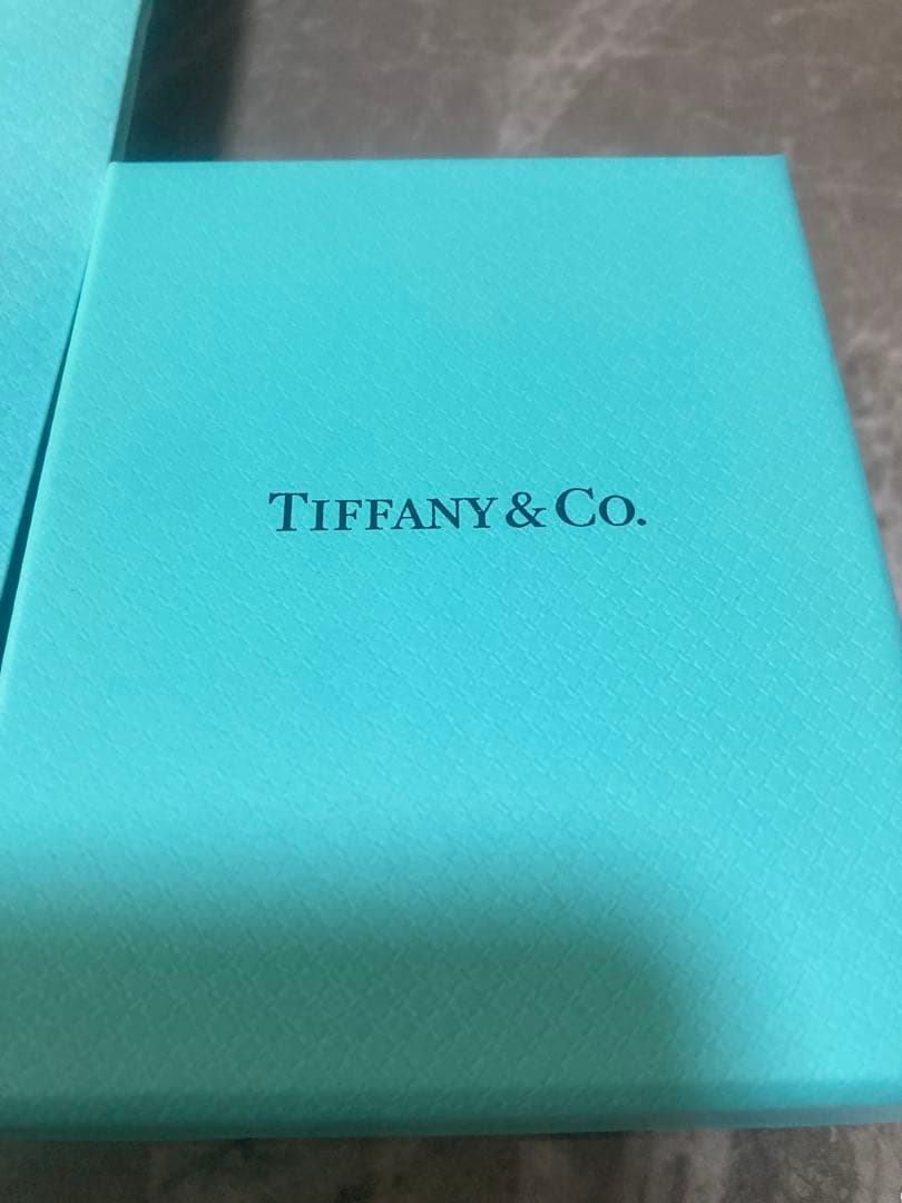 Tiffany & Co. インターロッキング2連リング シルバー925 19号