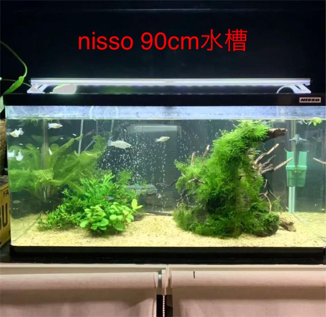90ニッソー曲げ水槽 他