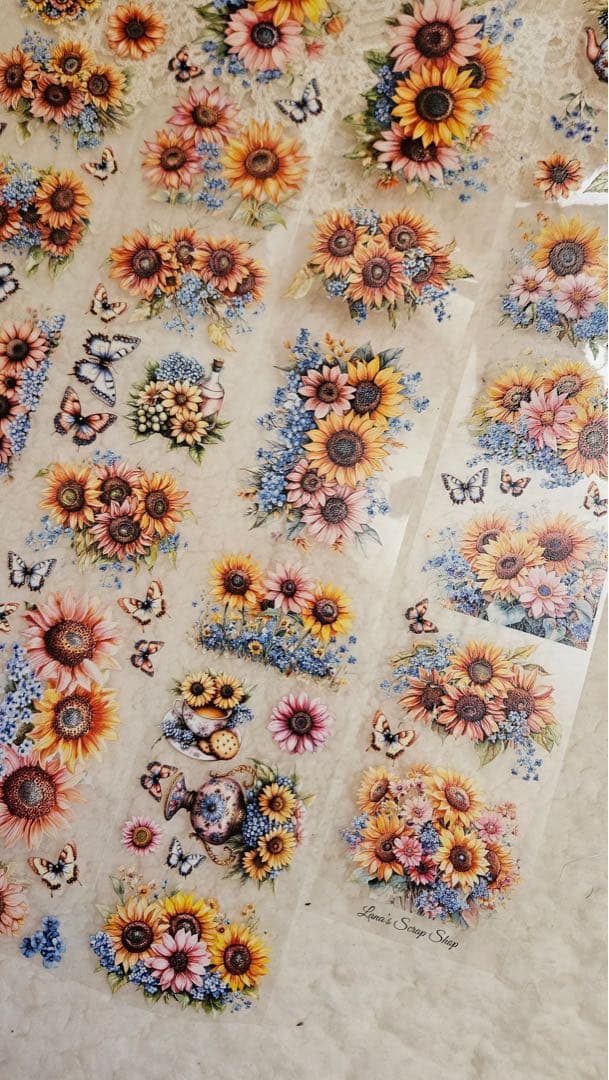 Lana´s Scrap Shop 海外マスキングテープ マステ 【2414】