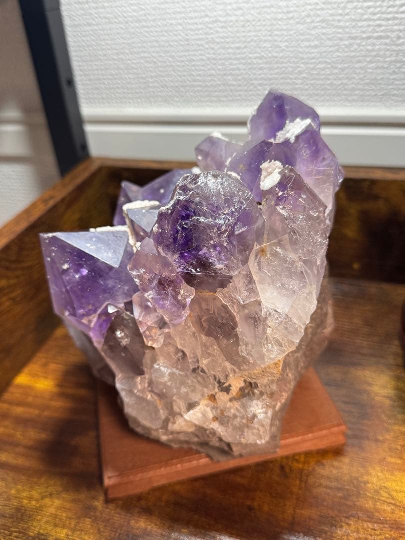 貝合わせ飾り台 〈 貝合わせ（大）用 〉 逸品 貝箱 貝あわせ6組12枚 大