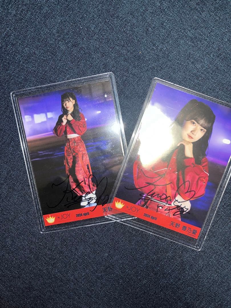 fripSide キャンバスアート 直筆サイン入り あにばーさる特典 final