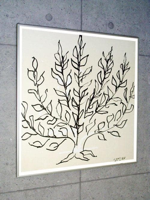 低木 1951年 アンリ マティス アートポスター Henri Matisse