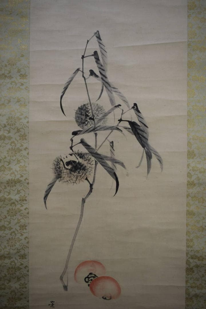 真作/松村景文/枝栗/紅柿図/桐題箱付/布袋屋掛軸HI-242