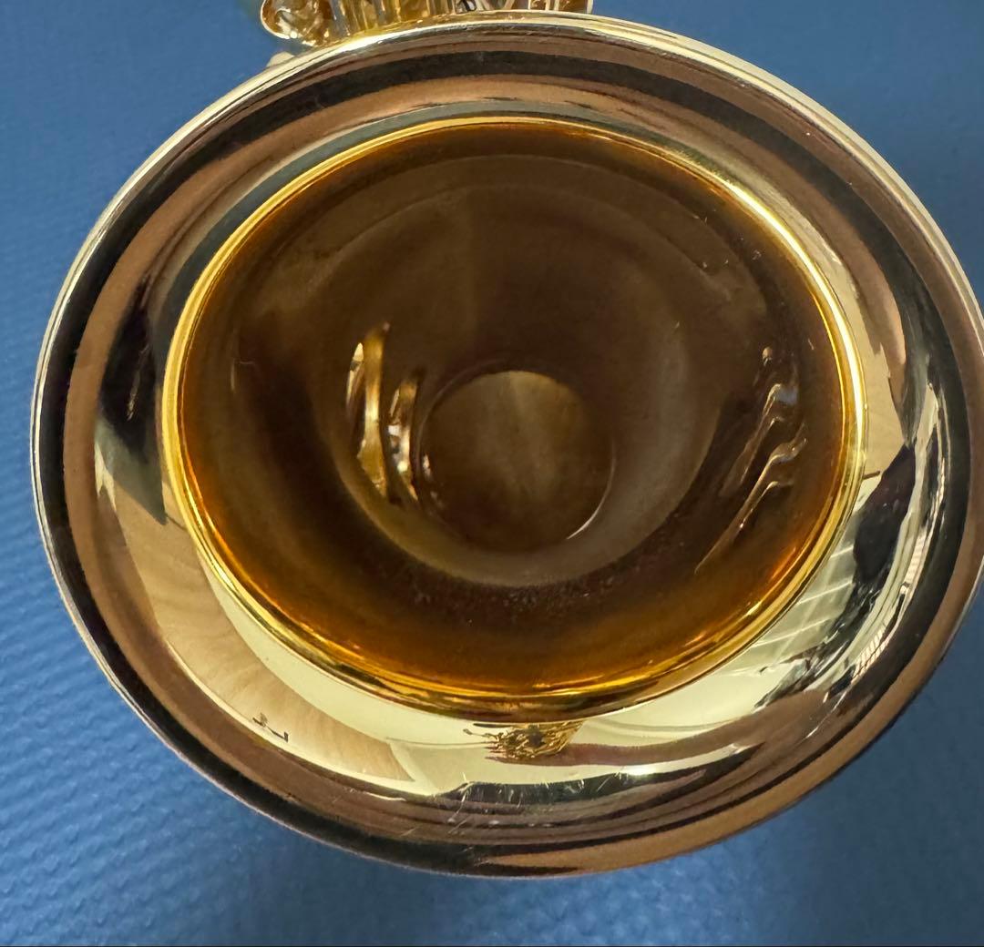 アルトサックス ヤマハ YAS-875EXG（03） GP V1ネック