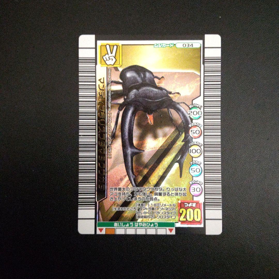 ムシキング 2004夏 2005夏 2006夏ネイチャー まとめ