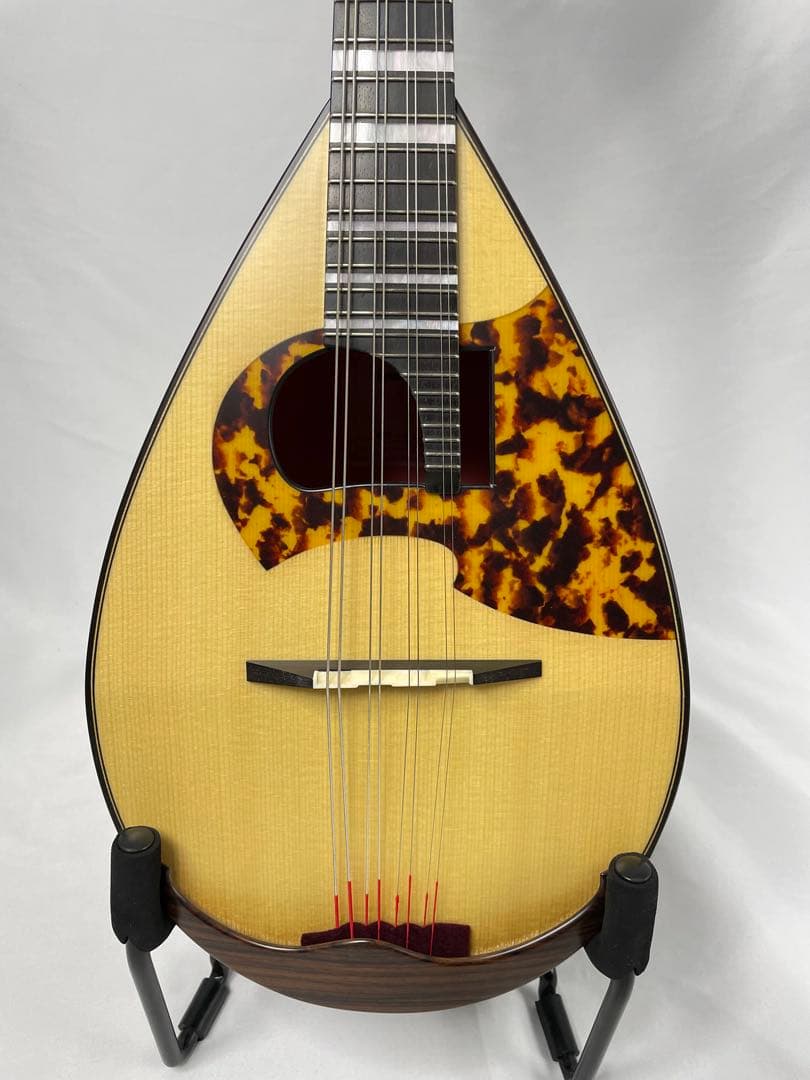 ASTURIAS/アストリアス MS-1bis マンドリン ケース付き - メルカリ