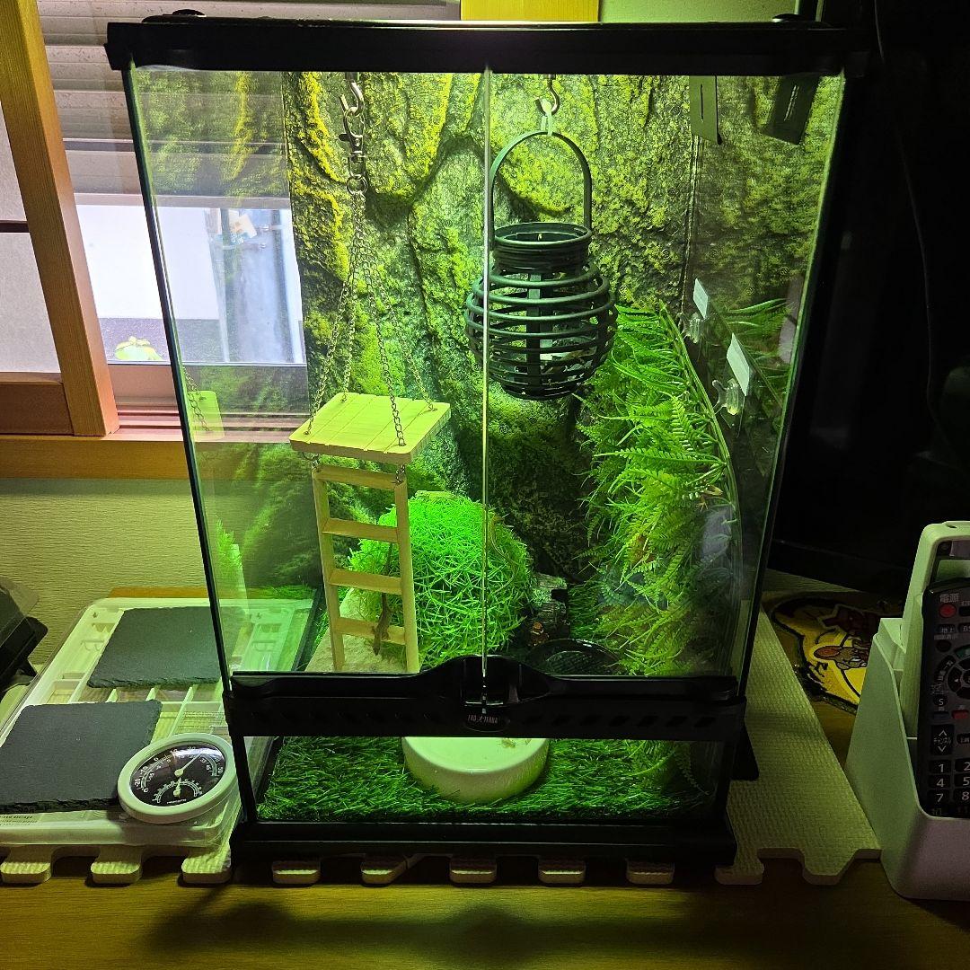 グラステラリウム　３０４５ グラステラリウム3045 エキゾテラ GEX ガラス飼育ケージ 販売 通販