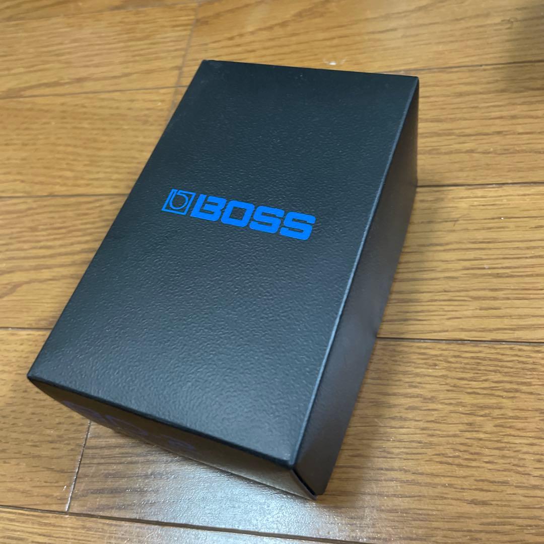 ギター BD-2