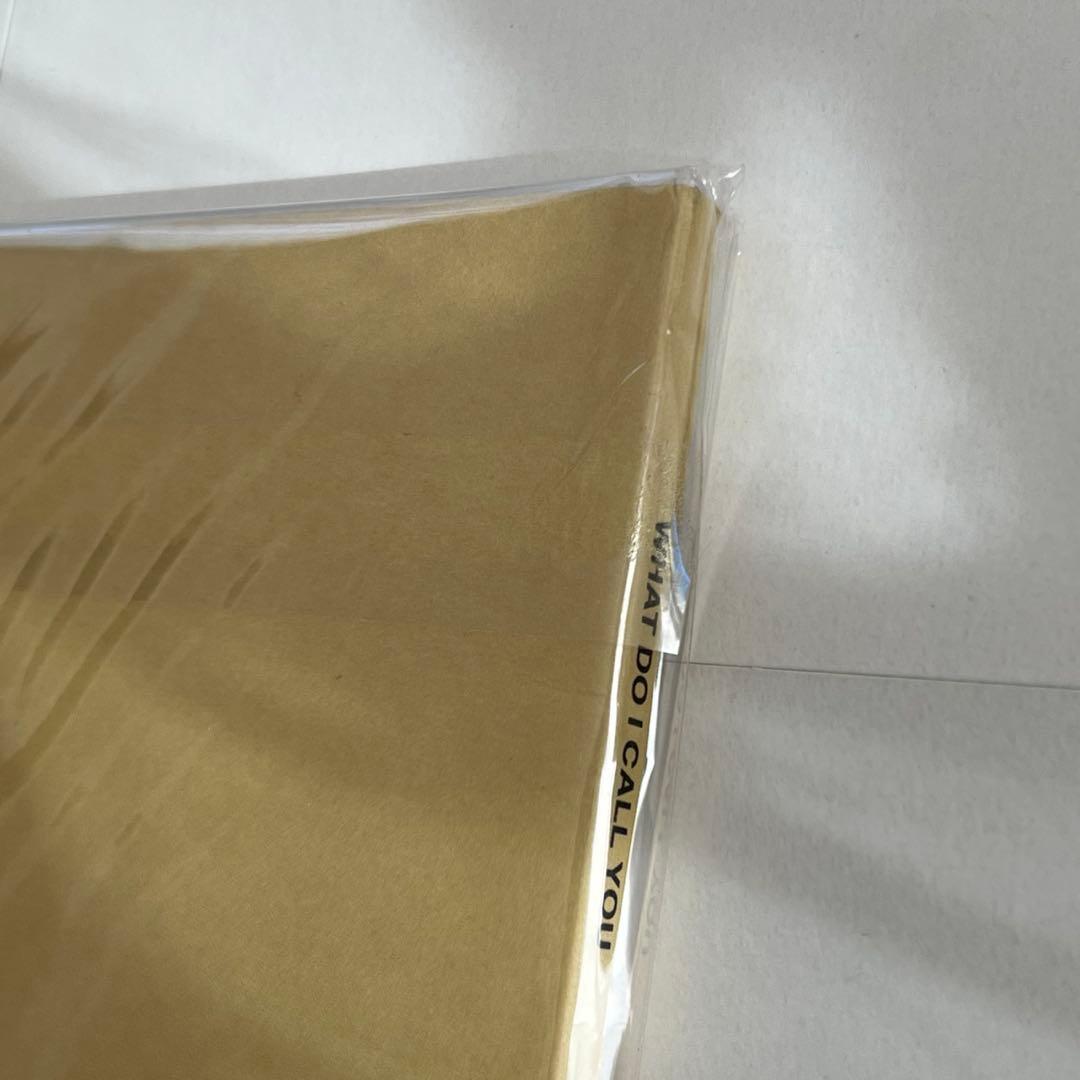 少女時代 テヨン What Do I Call You アナログ レコード