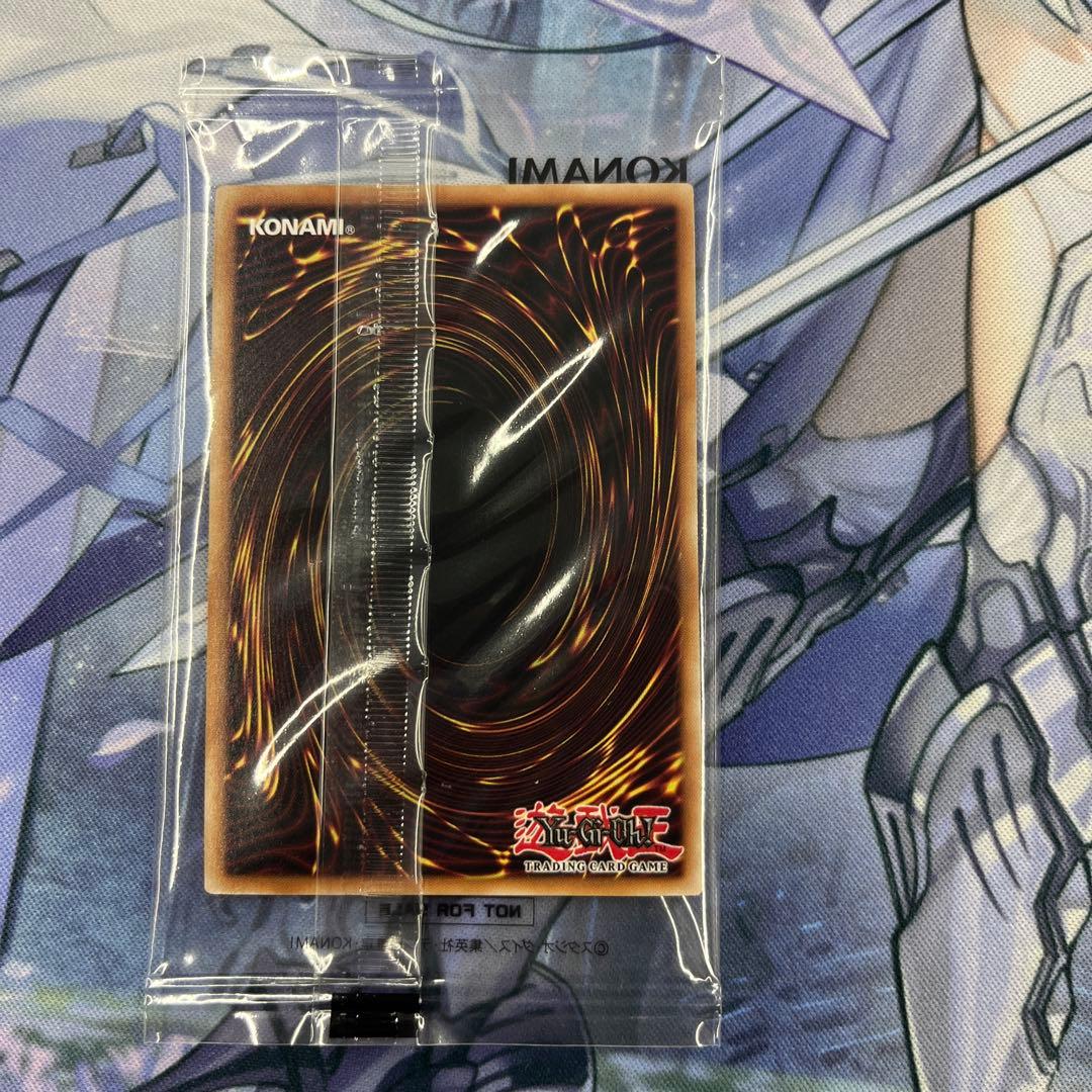 ドラゴン・オブ・リュミナリオン、サンクチュアリ・シールド