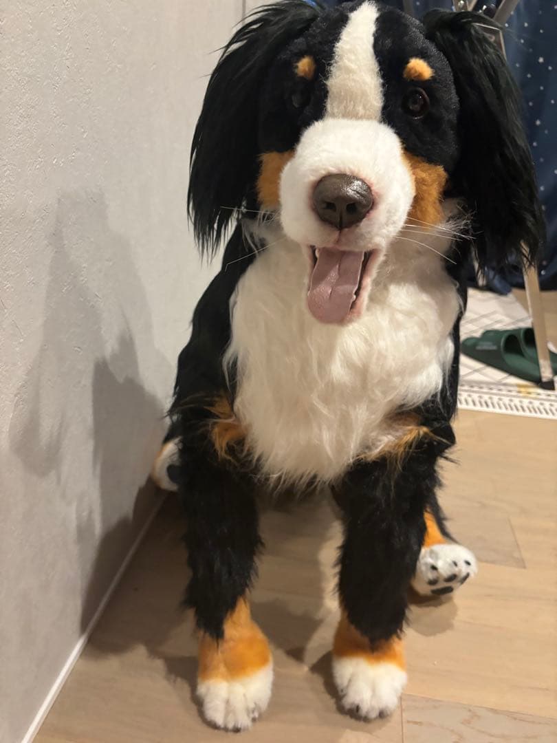 ストア アートドール/ぬいぐるみ/実寸大/バーニーズマウンテンドッグ