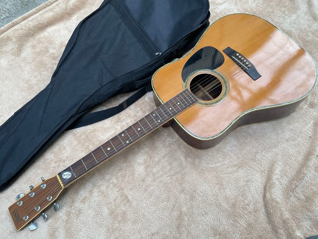 スズキ ヴァイオリン Three S アコースティックギター W-250