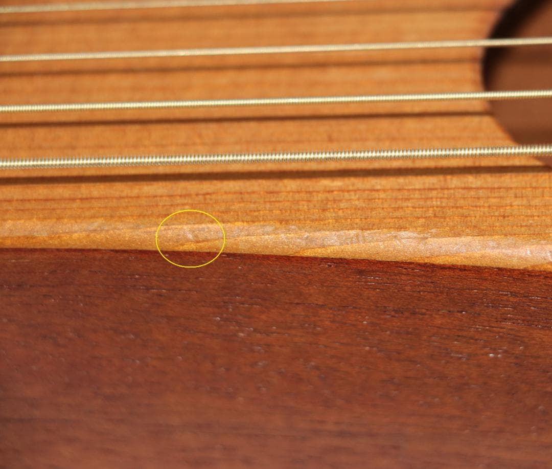 ★マーチンバックパッカーMartinTheBackpackers純正GIGケース