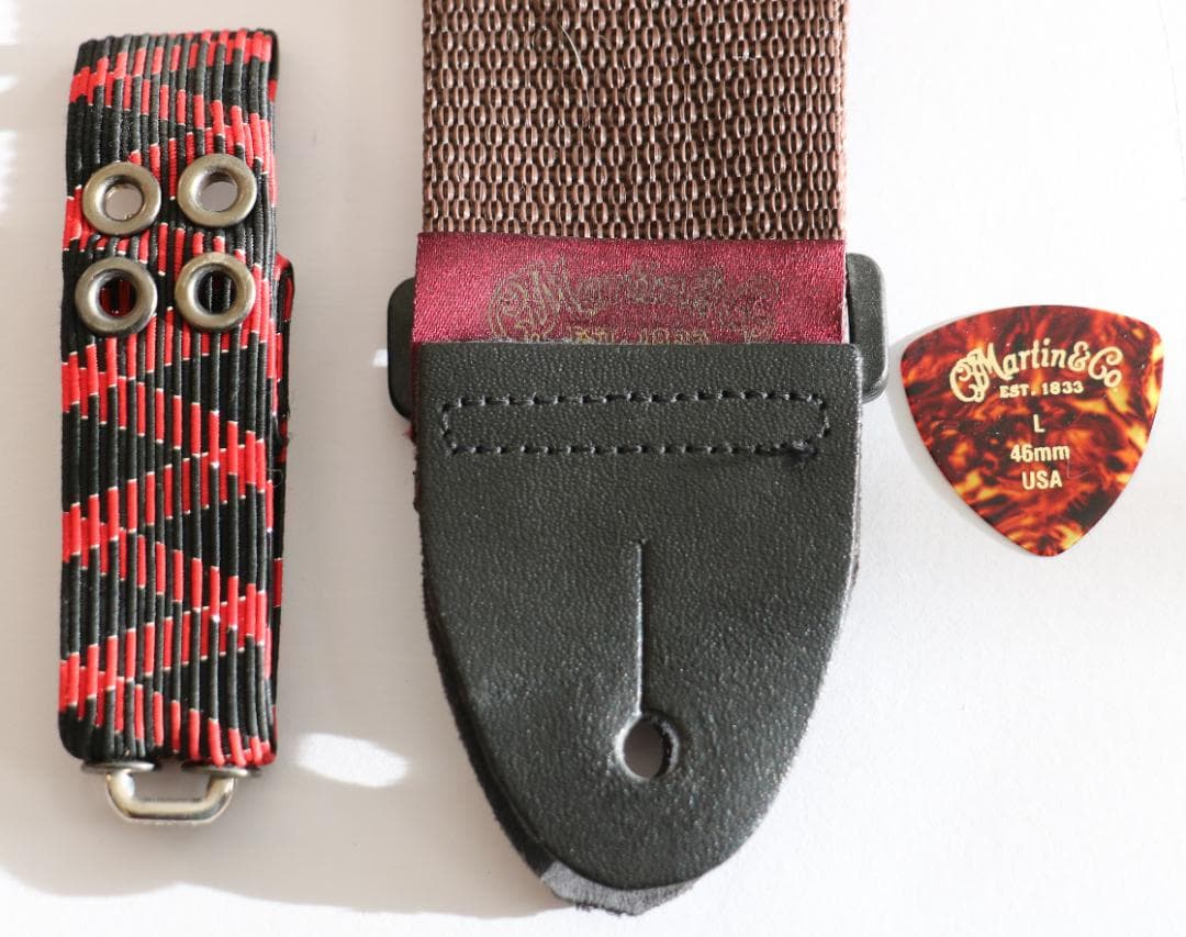 ★マーチンバックパッカーMartinTheBackpackers純正GIGケース