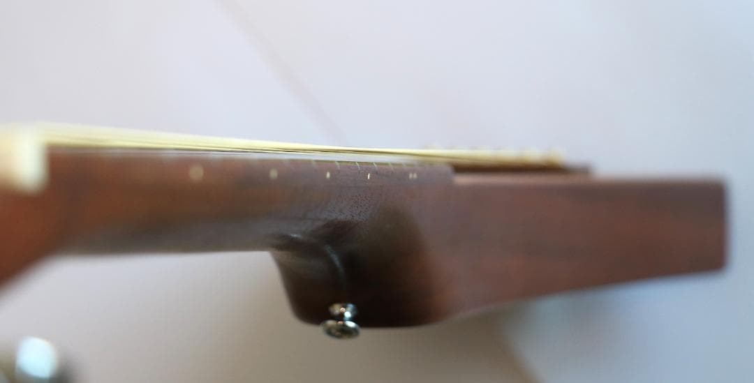 ★マーチンバックパッカーMartinTheBackpackers純正GIGケース