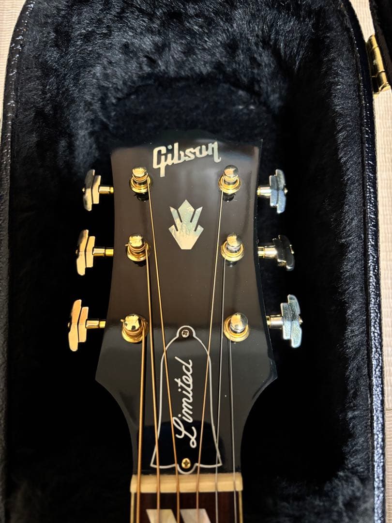 Gibson Acoustic Limited Dove Trans Ebony