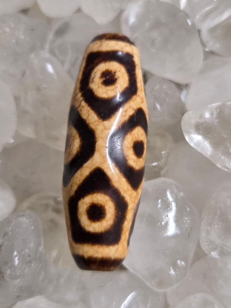 908 天珠 上肯 亀甲長壽九眼天珠 dzibeads！ - www.properties-gate.com