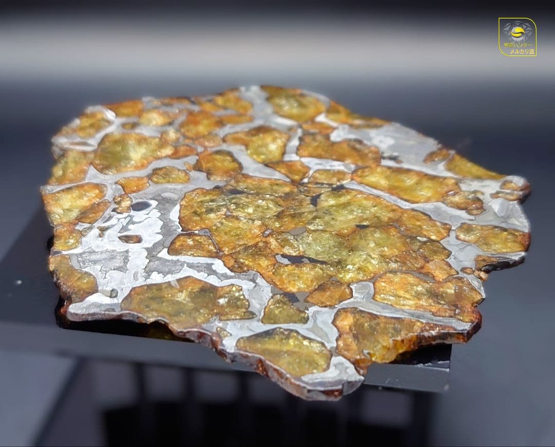 39.65g イミラック パラサイト 隕石 Imilac ⭐